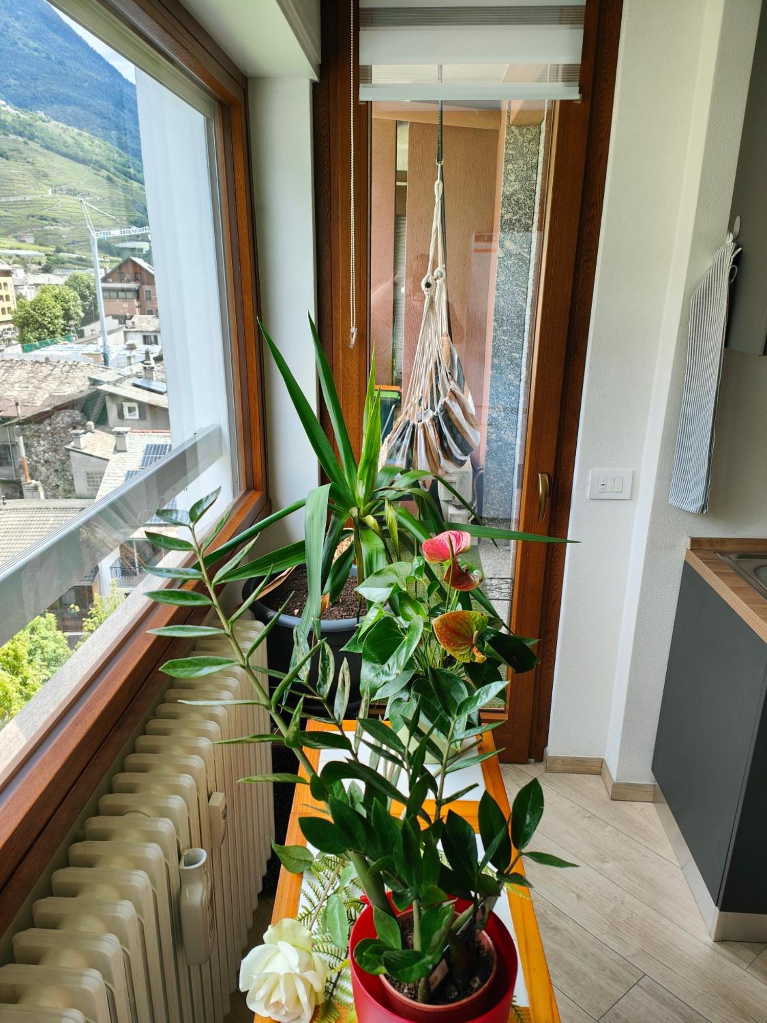 Alfiumea Apartment Tirano Luaran gambar