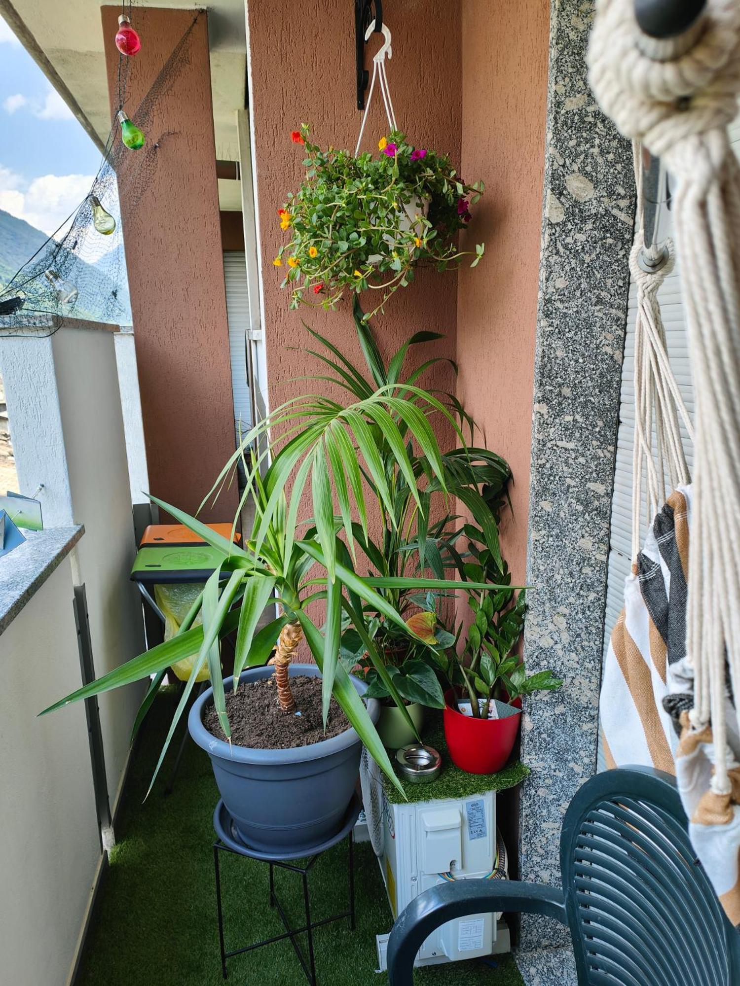 Alfiumea Apartment Tirano Luaran gambar