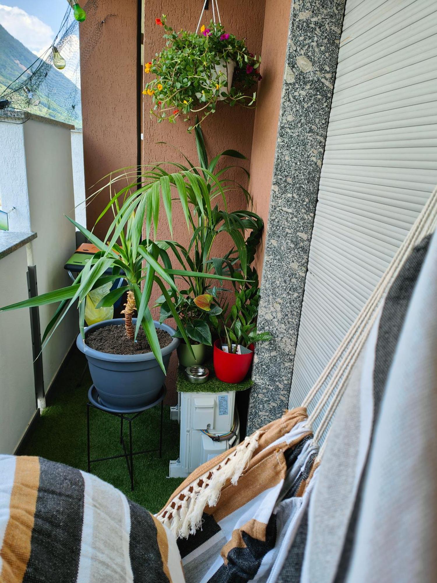Alfiumea Apartment Tirano Luaran gambar